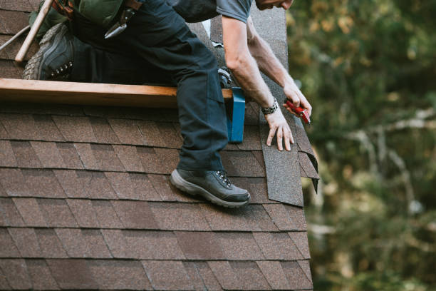 Best Roof Restoration Services  in Dewey Humboldt, AZ